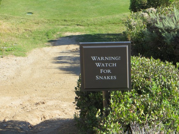 Snake Warning