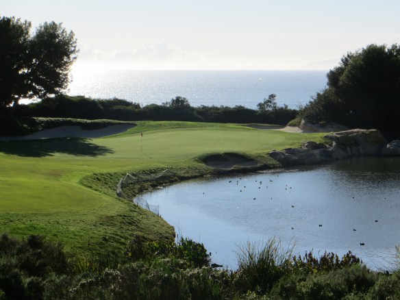 Fazio used the artists full palette of features on the par 3 7th.