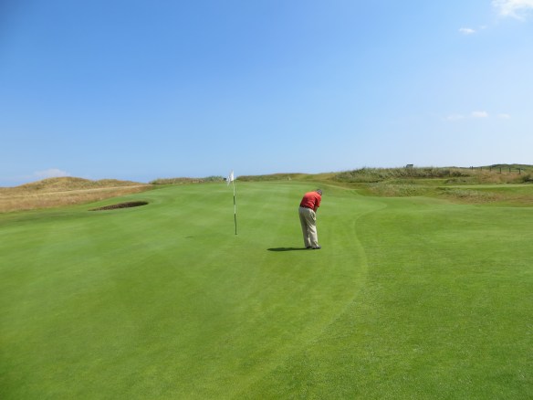 Carn 5 Green