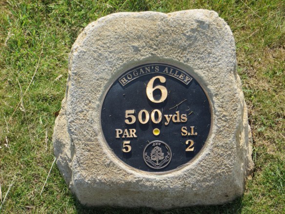 Carn 6 Tee Marker