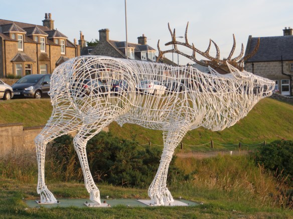 Christmas Reindeer In July.jpg