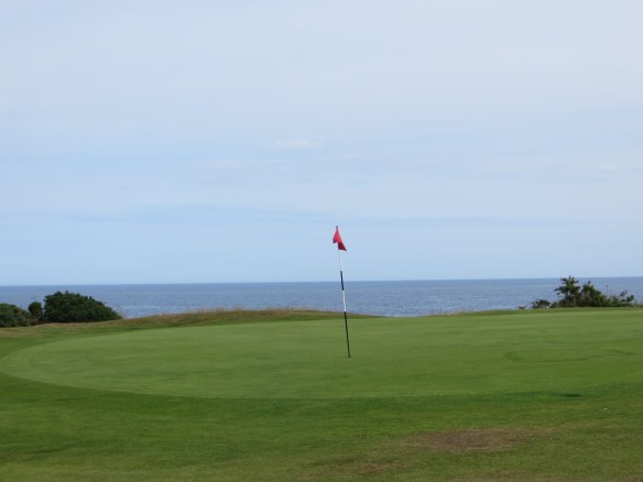 Crail 16 Green