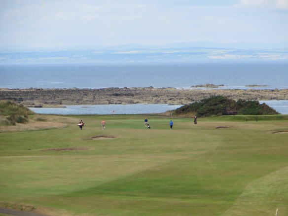 Crail 17