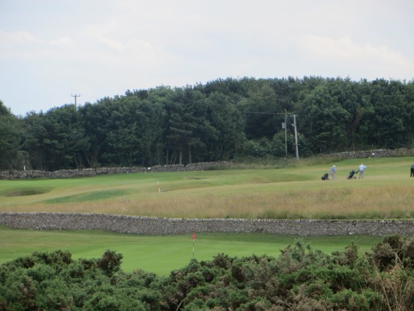 Crail 18