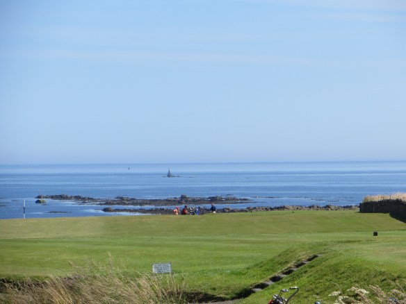 Crail 7
