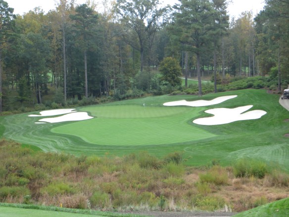 The Par 3 #7 fills the canvas with the setback of the trees as well as the elevation change.