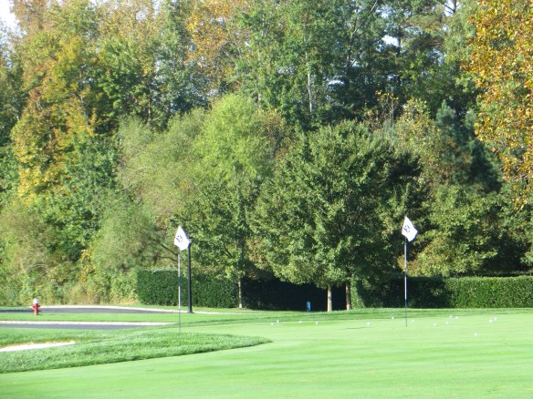Practice Pitching Area