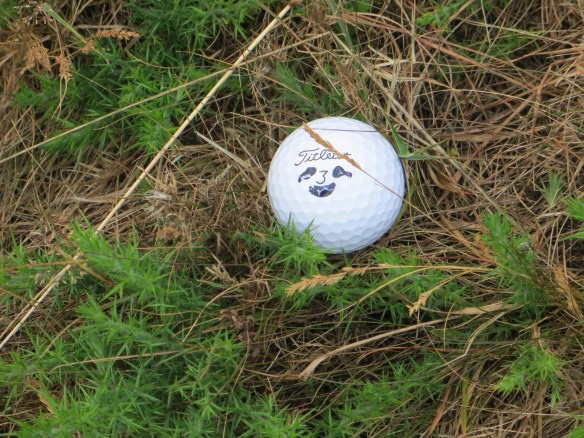 Here is one we found in the gorse within the allotted five minutes