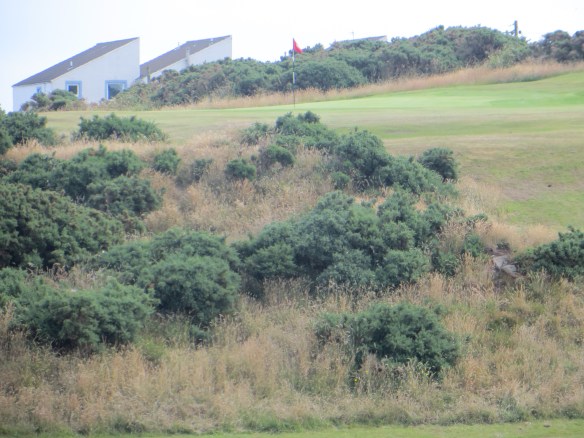 The shot up the gorse face on the 1th will test your nerve and patience