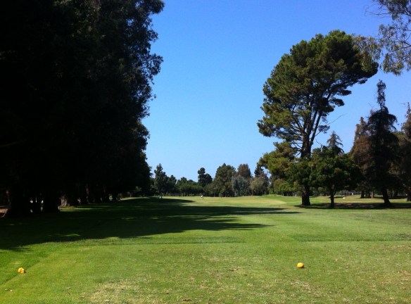 #9 Tee View
