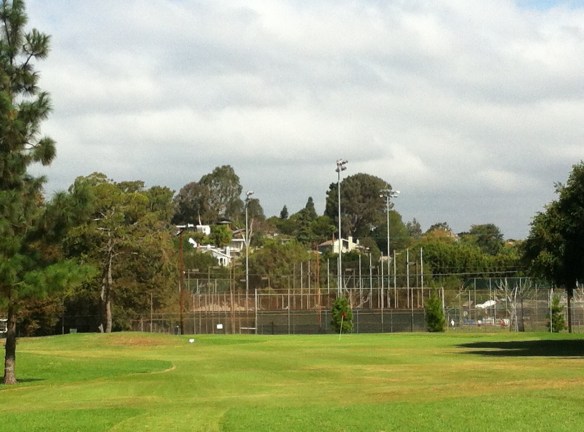 Green View 3