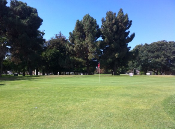 Green View 7