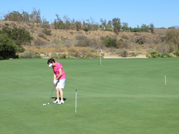 Practice Putting Shares With 18 Green