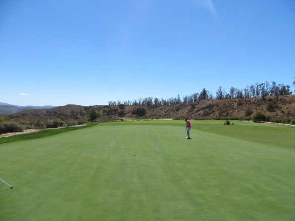 RC #10 Green Back View