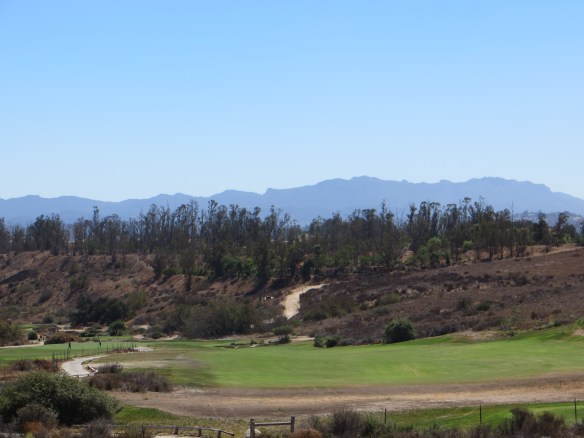 From the start gate on the Par 4 16th tee this is a full Six Flags thrill ride if I have seen one 