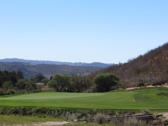 RC #6 Tee View