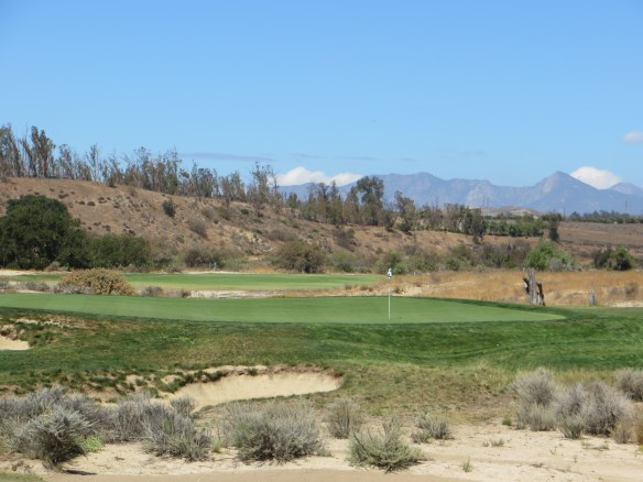 The 8th is a classic Irish Par 3-the challenge seems simple but add a wee bit of wind and.......