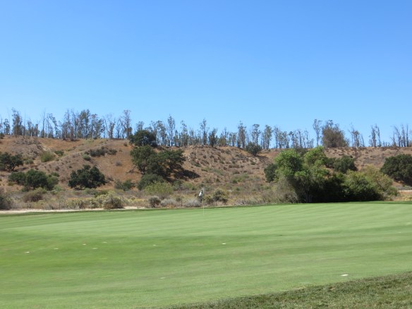 RC #9 Green
