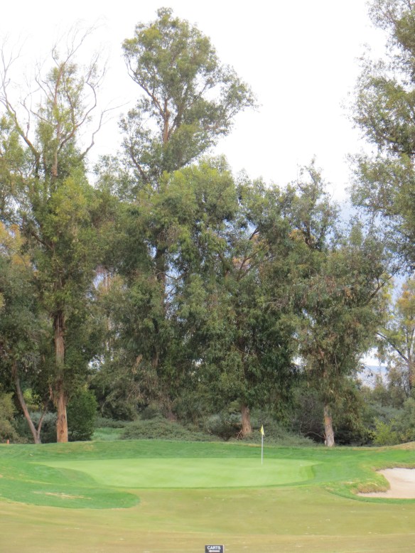 Chicanery...lurking everywhere...on #14...