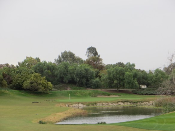 Arnie would love the fortitude required to play the finishing hole