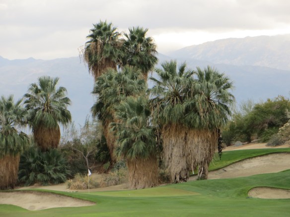 Another distracting visual frames the 8th green.