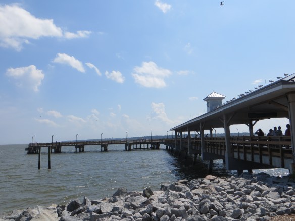 St Simons Peer