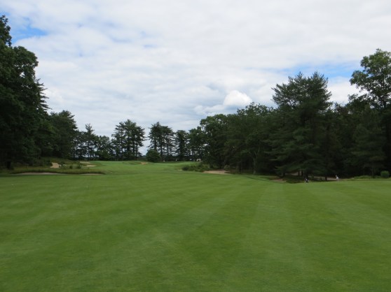 The green of the day will determine which side to place your drive