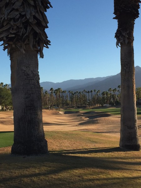 Through The Goal Posts 17