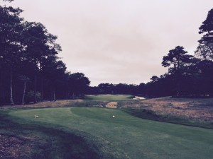 Talk about framing...the tee shot on the final hole