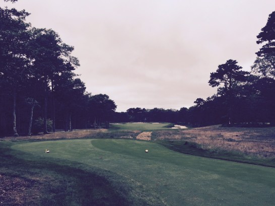 Talk about framing...the tee shot on the final hole