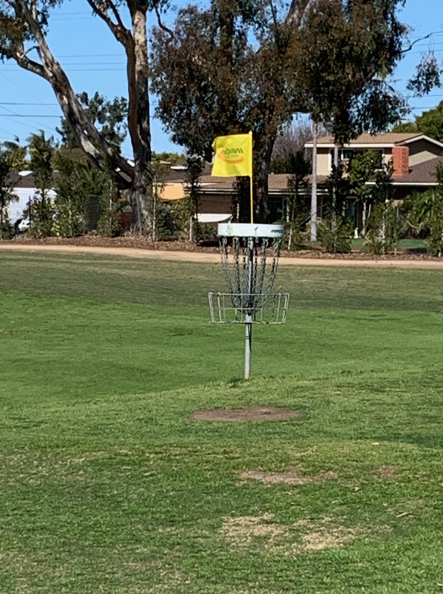 Disc Golf Flag
