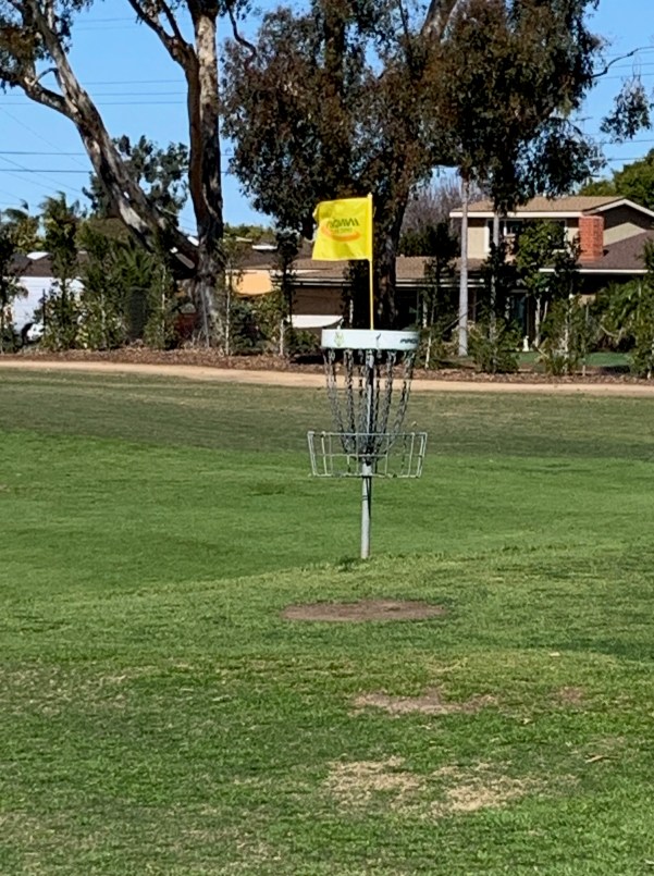 Disc Golf Flag