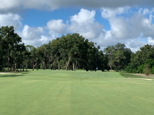 ML #1 Double Plateau Green