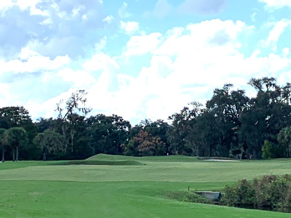 ML #15 Punch Bowl From Tee