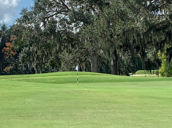 ML #15 Punch Bowl Green