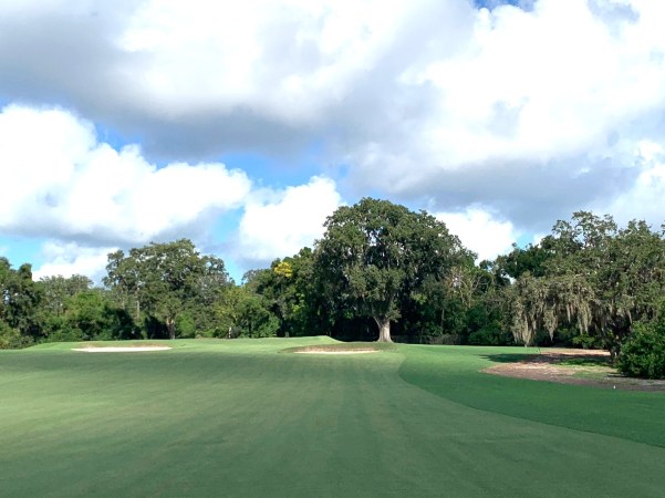 ML #3 Alps Green Approach