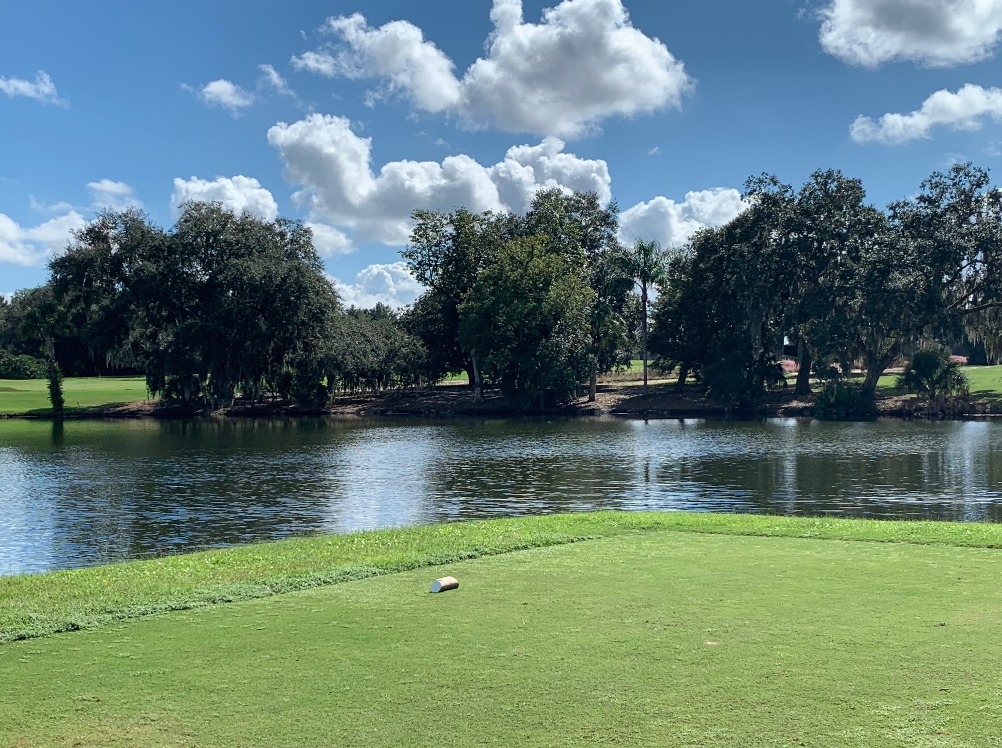 ML #8 Raynor Lagoon Tee