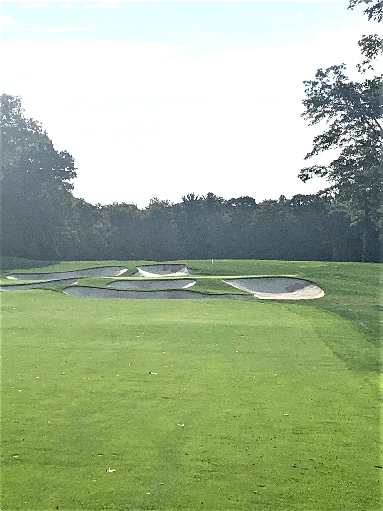 GO Red 4 Par 5 Green